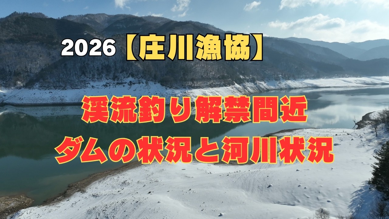 【庄川漁協】渓流釣り解禁前のダムと荘川地内の河川の状況を見てきました