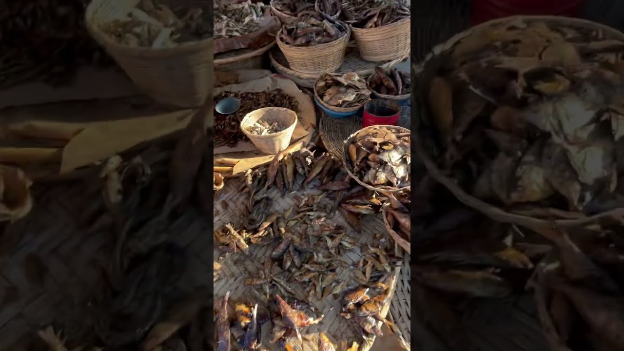 &Agrave; l&agrave; d&eacute;couverte du march&eacute; de Pahou