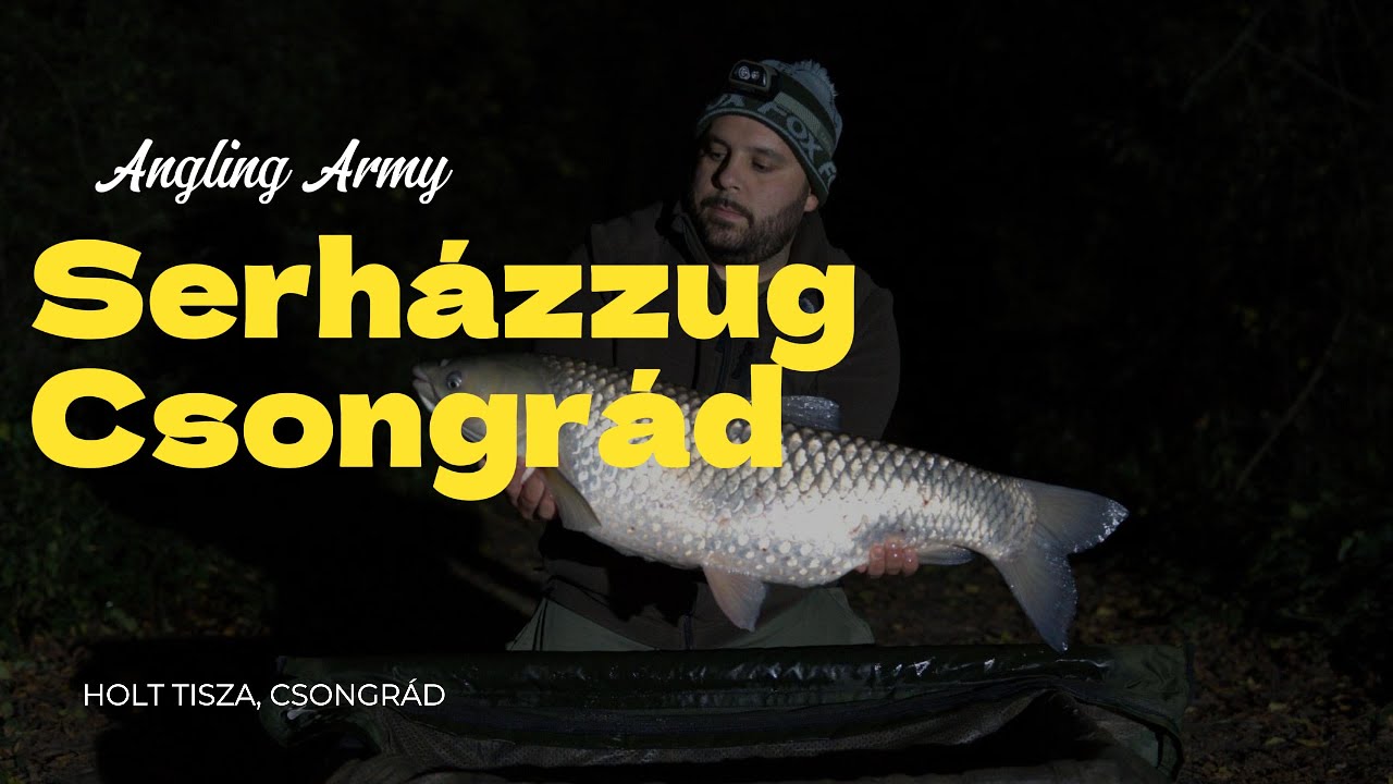 ANGLING ARMY - Serházzugi Holt-Tisza  -  Pontyhorgászat vadvízen, a Csongrádi Holt-Tiszán