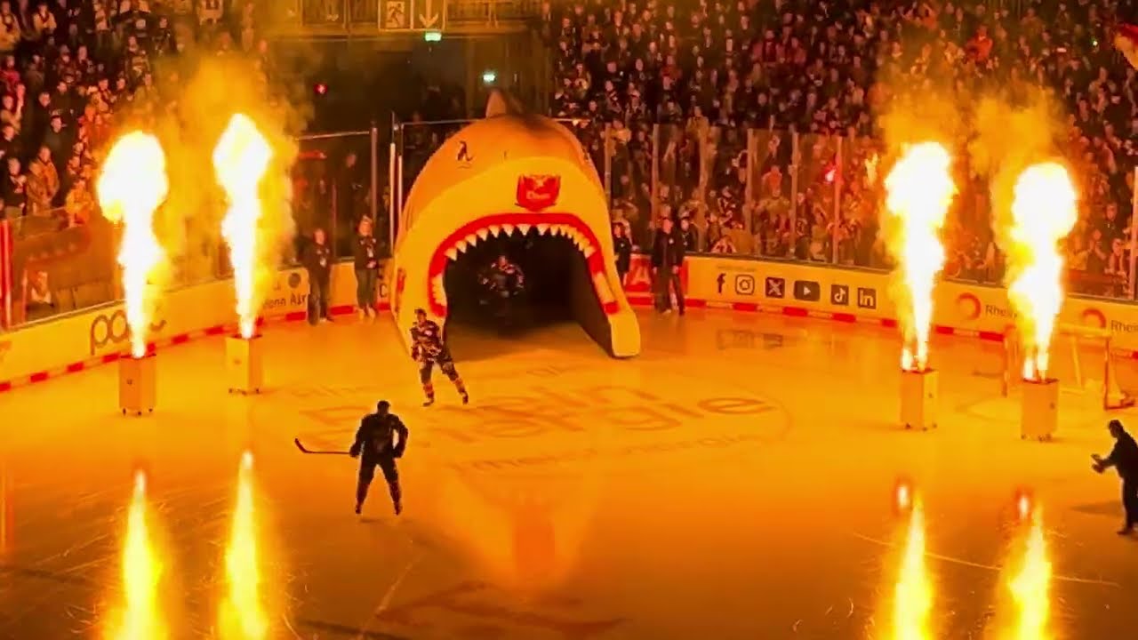 Kölner Haie - Augsburger Panther (05.01.25): Vorstellung & Einlauf der Spieler des KEC