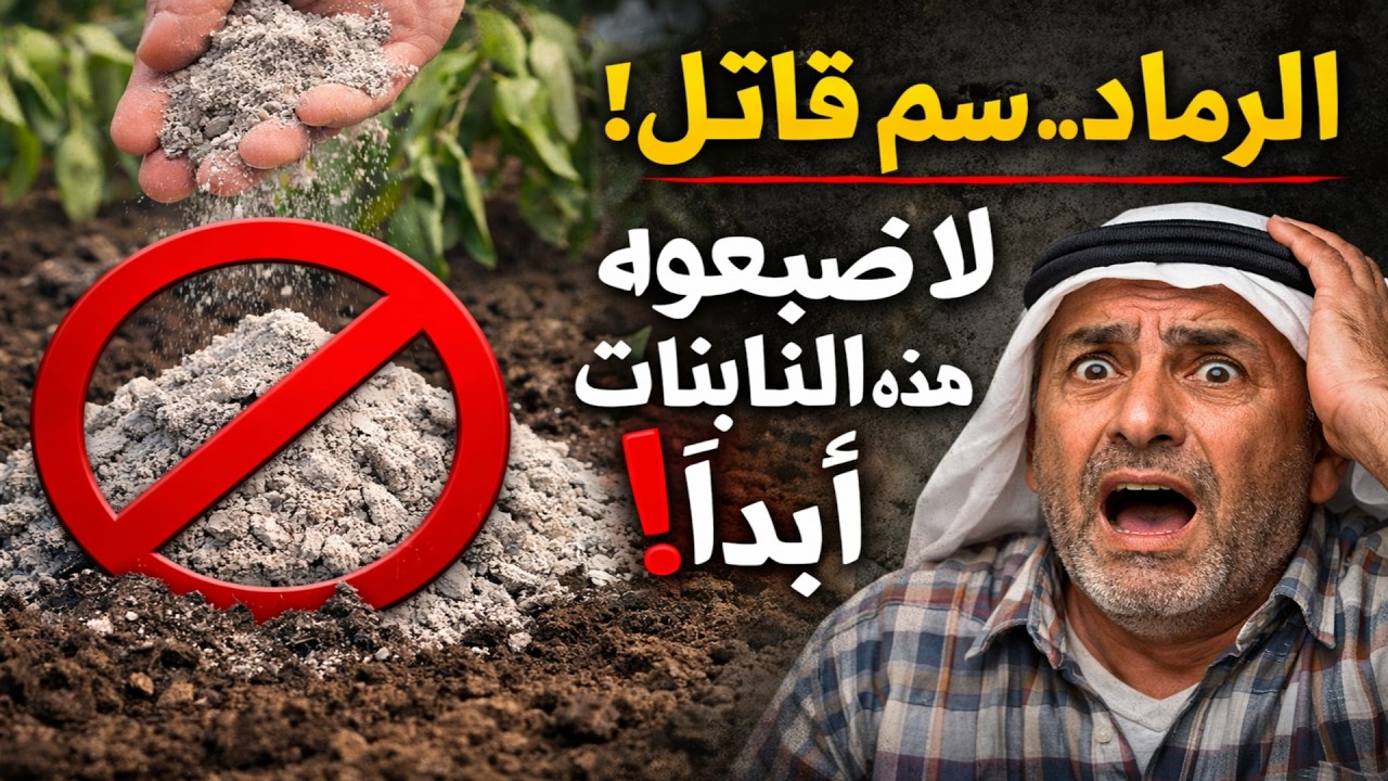 الرماد.. سُم قاتل لهذه النباتات العشرين! لا تضعوه عليها أبداً، وإلا سيُدمر المحصول ولن تحصلوا على أ