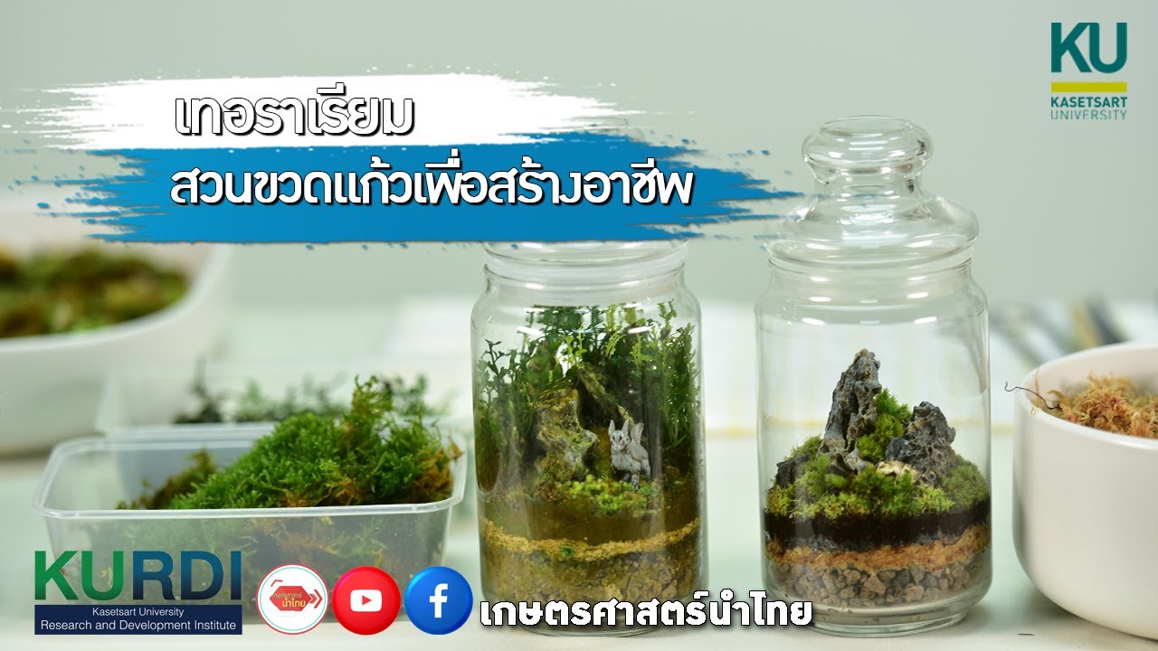 เทอราเรียม สวนขวดแก้วเพื่อสร้างอาชีพ