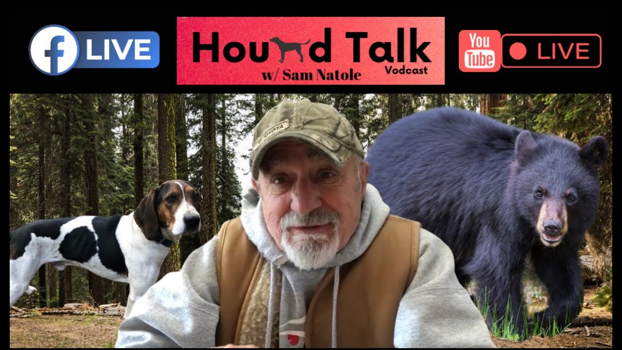 Hound Talk LIVE