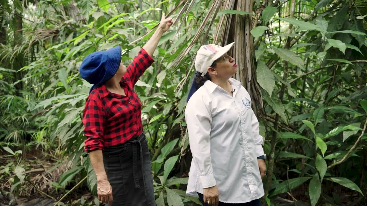 Ruta de la bioeconomía: Caquetá