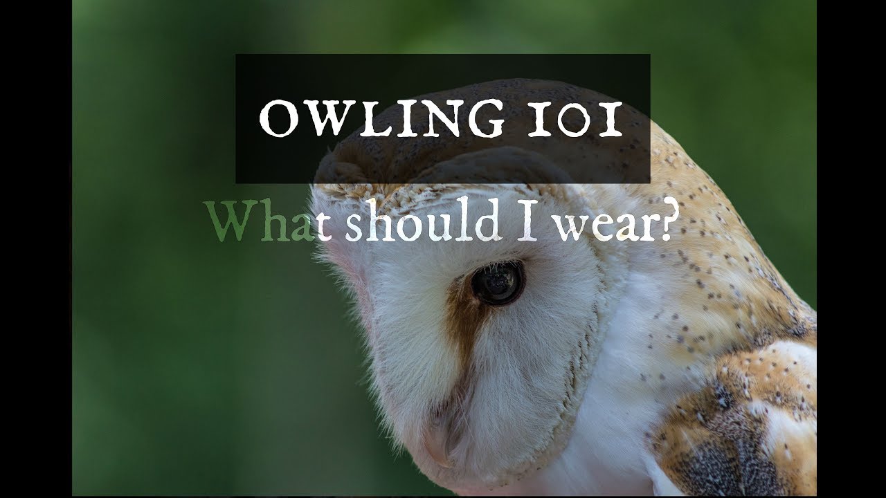 Owling 101: What should I wear?