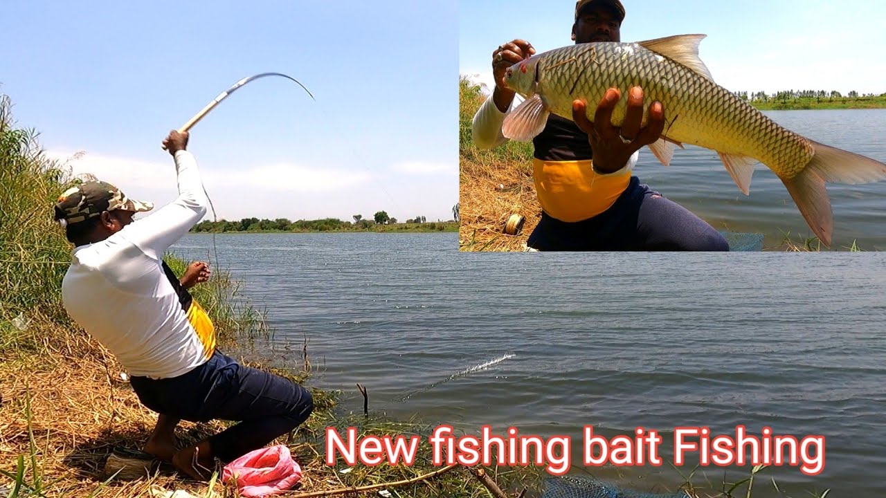 🐟Big Carp Fish hunting | Rohu Machali ka Sikar| Mirgal Carp Fish
