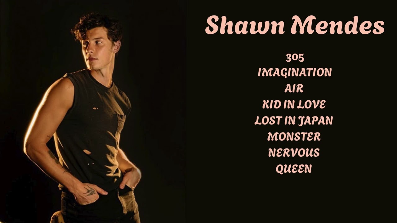 Shawn Mendes Hit Songs Remix | Shawn Mendes Songs Remix | Pop Vibes | English Songs Remixes