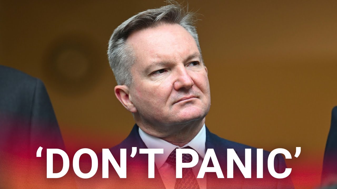 ‘Nothing to see here’: Labor not ruling out fuel rationing as they ‘scramble’ for a fix