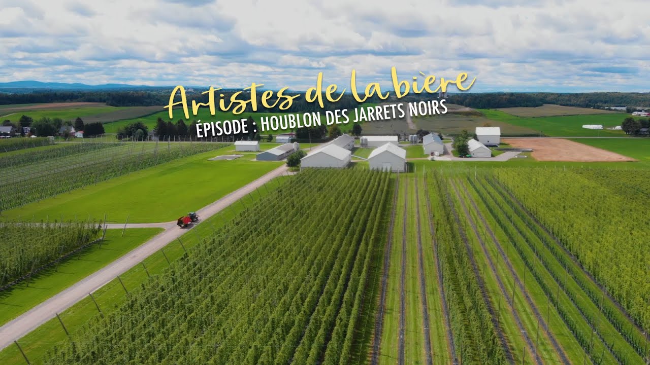 Artistes de la bière: Houblon des Jarrets Noirs