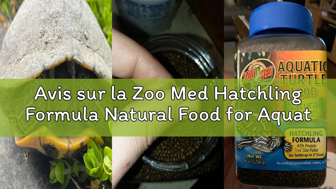 Avis sur la Zoo Med Hatchling Formula Natural Food for Aquatic Turtle 226g