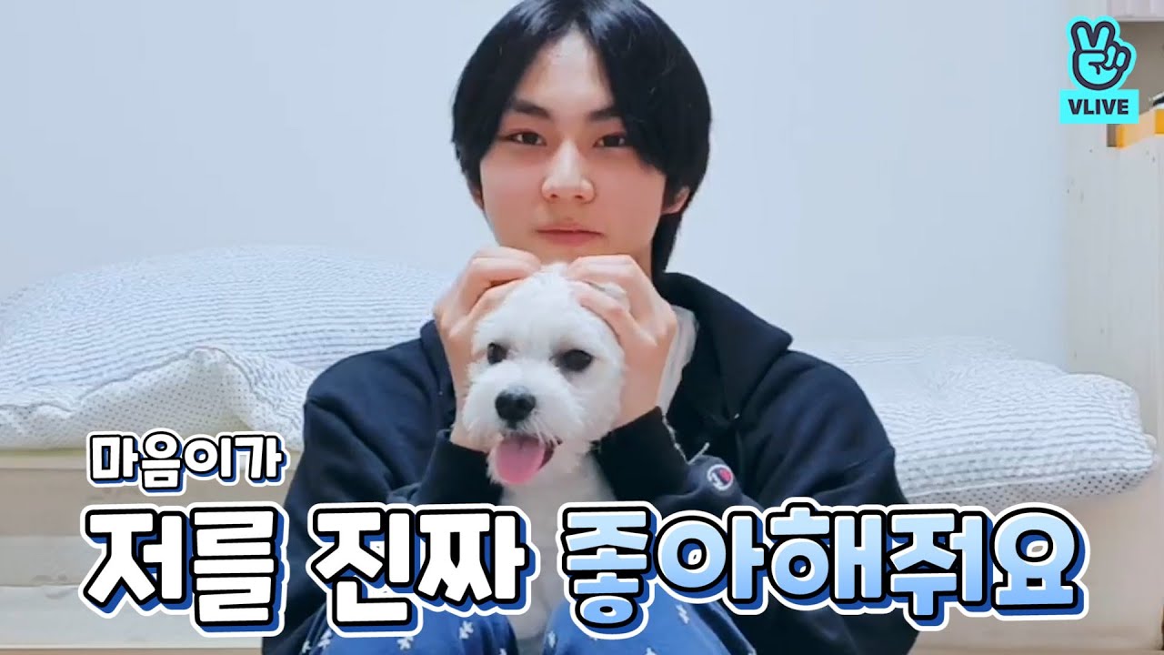 [VLIVE] ENHYPEN - 진짜 완전 리얼 귀여운 ㅁr음0l와 마음이🐾 (JUNGWON’s V with his puppy)