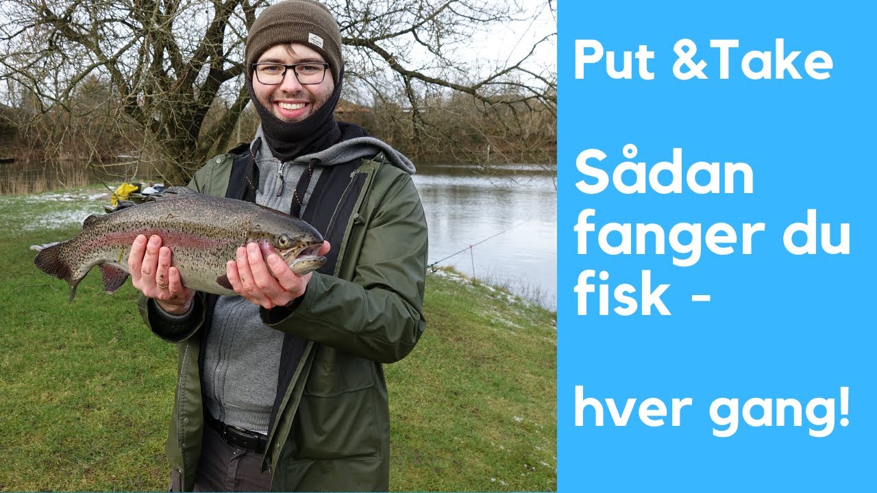 Put & Take fiskeri - S&aring;dan fanger du mange fisk 🎣