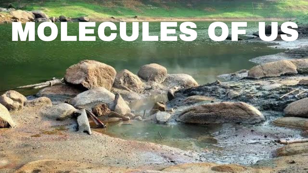 Molecules Of Us - The Best Relaxing Music To Rebalance Mind, Body, And Soul