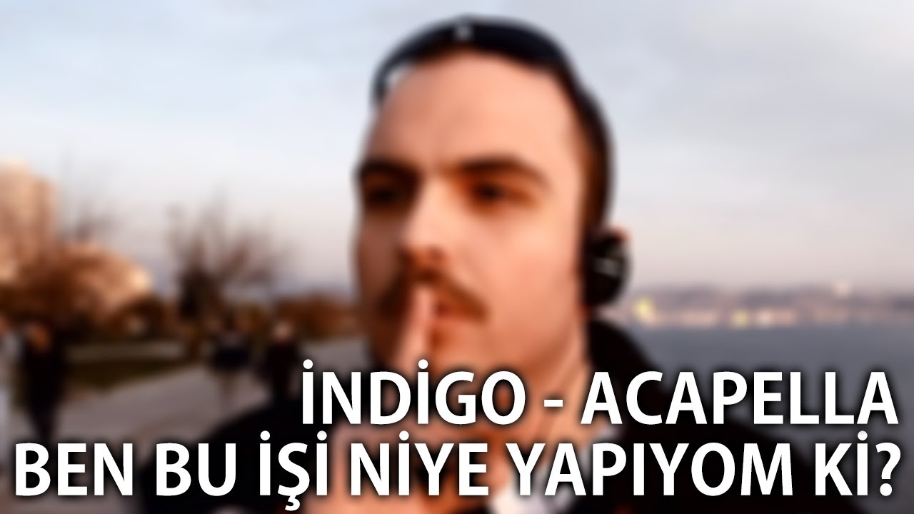 indigo acapella: ben bu işi niye yapıyom ki?