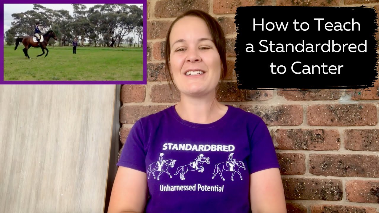 How do I Teach my Standardbred to Canter - a Standardbred Tutorial by Raising the Standards