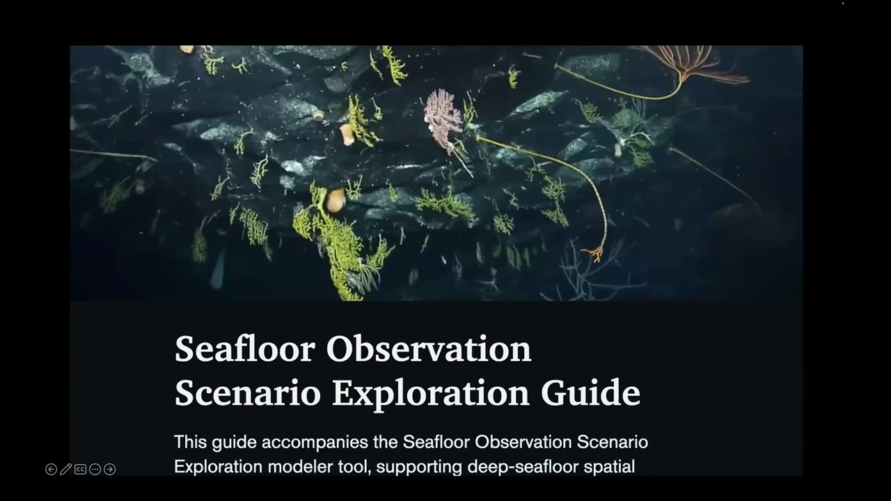 COBRA Webinar Series – Deep-sea discoveries from early career researchers (Part 2)