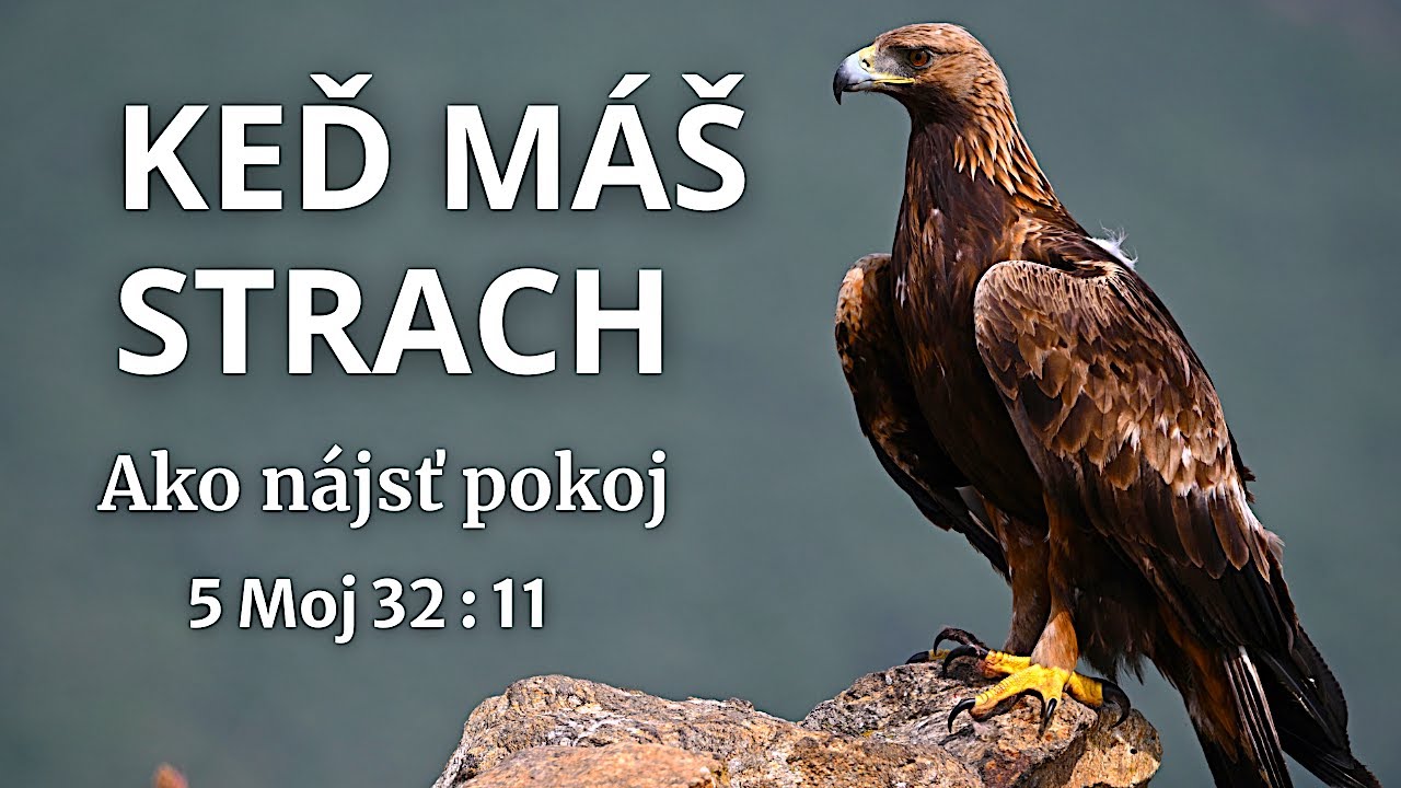 Prečo ti Boh berie istoty? Ako nájsť pokoj, keď máš strach.
