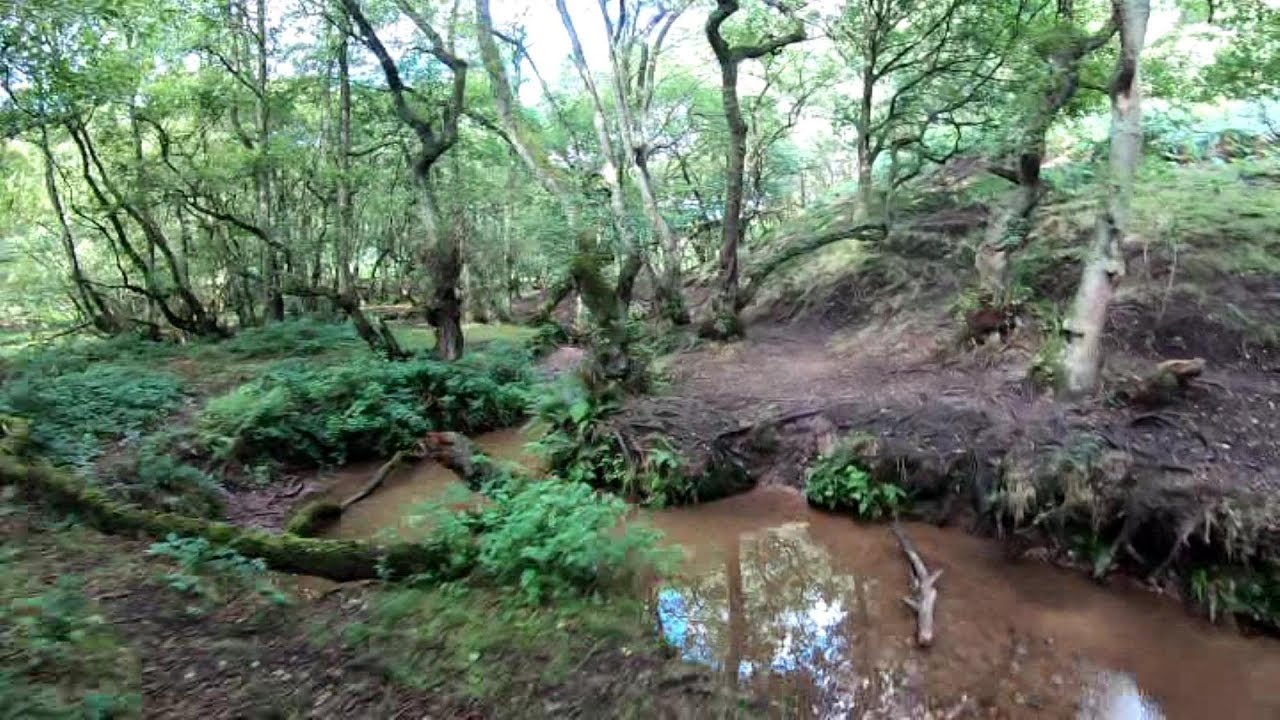 Barlaston downs, Drone flying fast proximity - DroneX