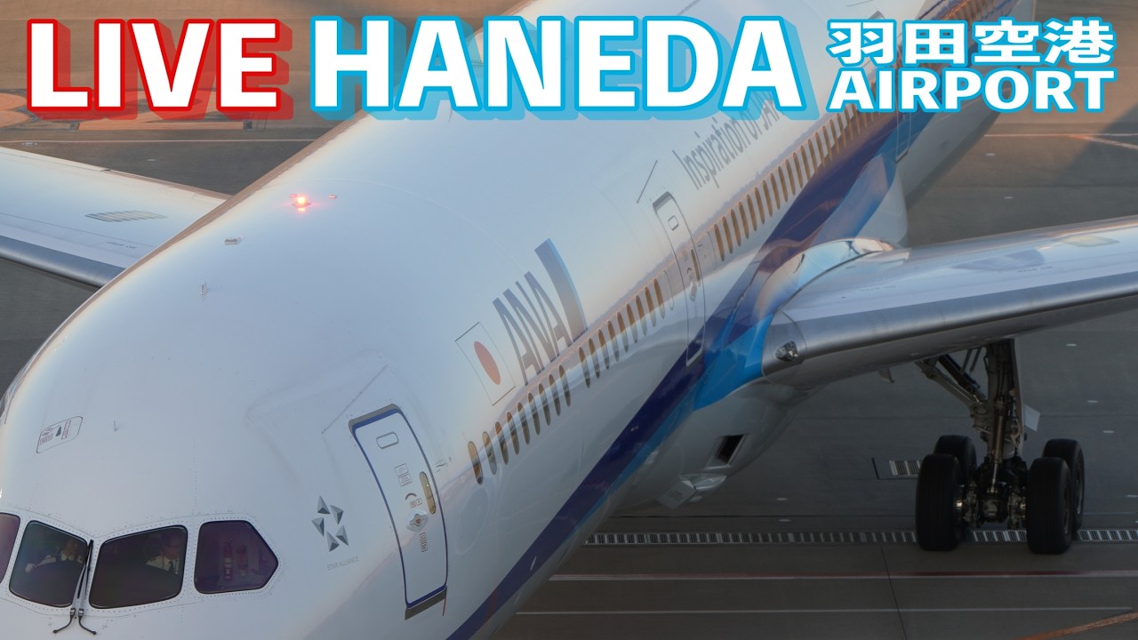 🔶LIVE📡 '26/3/12 羽田空港 T2 Tokyo International Airport HANEDA T2  plane spotting