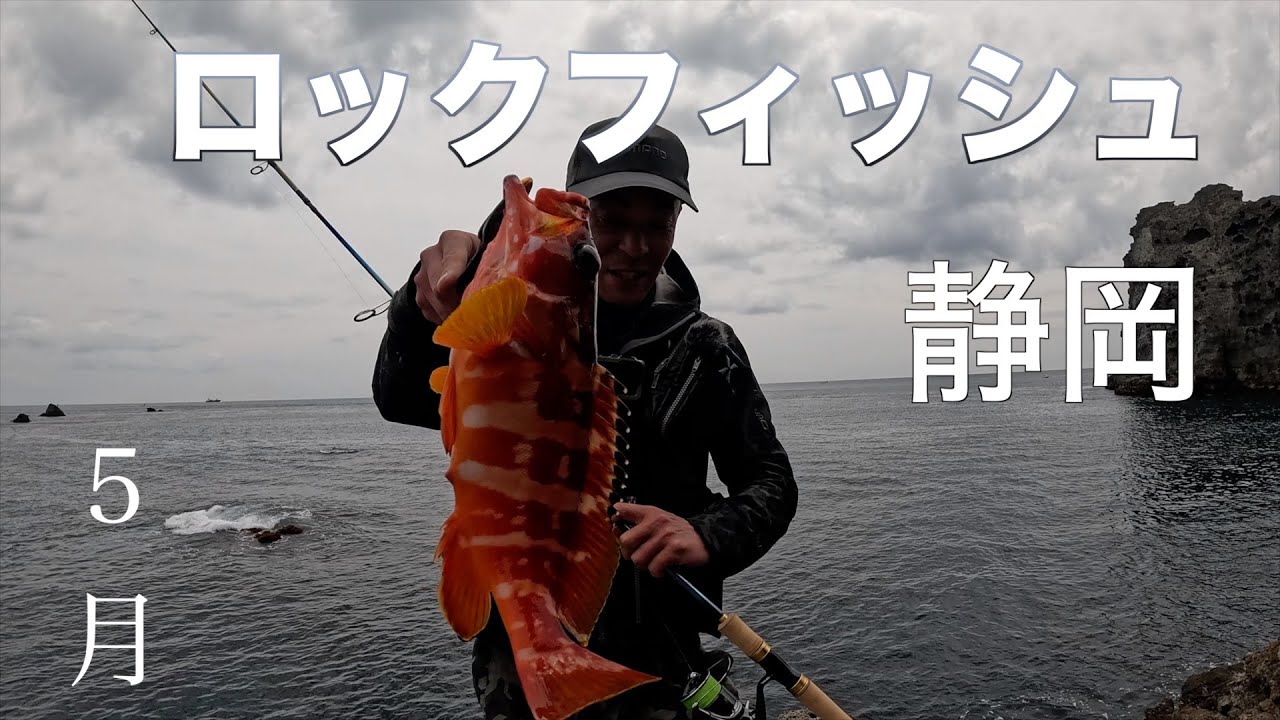 陸から狙うアカハタ釣り【ロックフィッシュ】