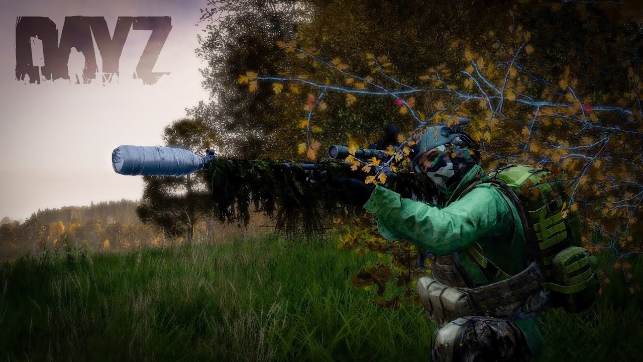 DayZ: HARDCORE SURVIVAL - A JOURNEY THROUGH CHAOS