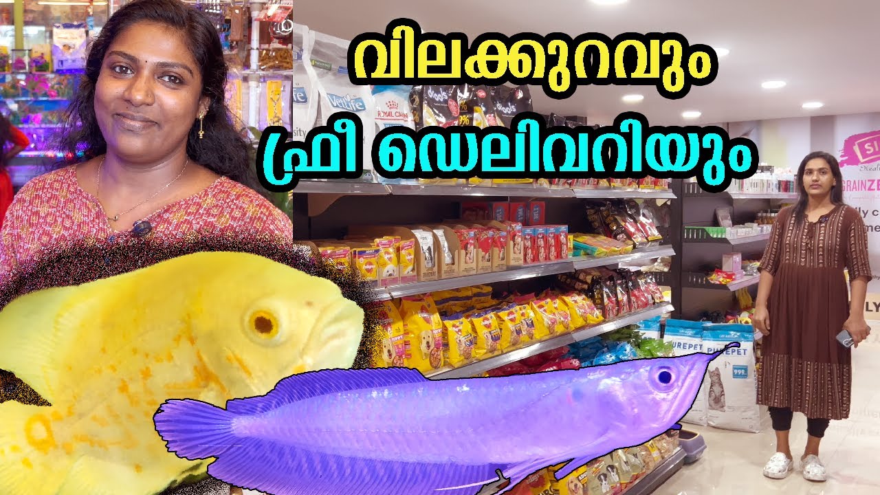 ഫ്രീ ഡെലിവറി 😳 ഇനി സാധനങ്ങൾ വീട്ടിൽ എത്തിക്കും #aquarium #petaccessories #free