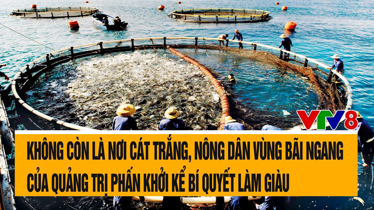 Kh&ocirc;ng c&ograve;n l&agrave; nơi c&aacute;t trắng, n&ocirc;ng d&acirc;n v&ugrave;ng b&atilde;i ngang Quảng Trị phấn khởi kể b&iacute; quyết l&agrave;m gi&agrave;u