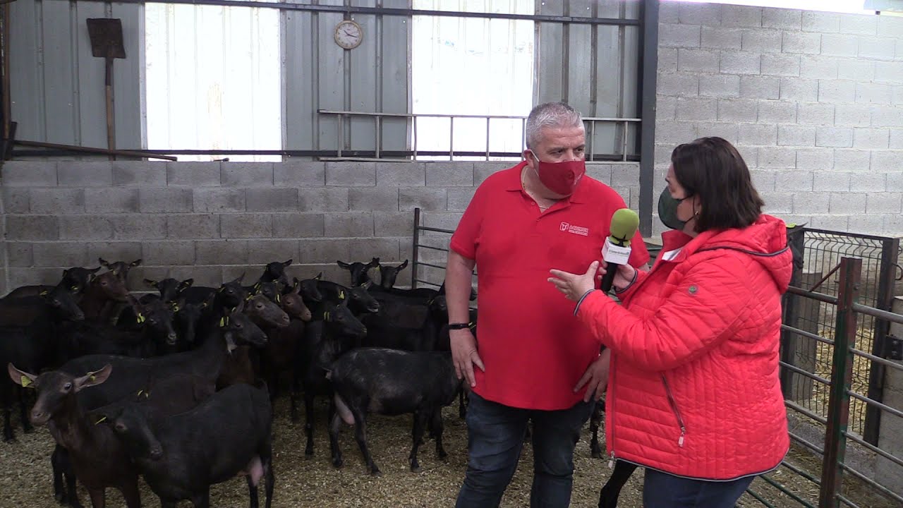 Jorge Castillo, veterinario y gerente de ACRIMUR / El Campo de Asturias
