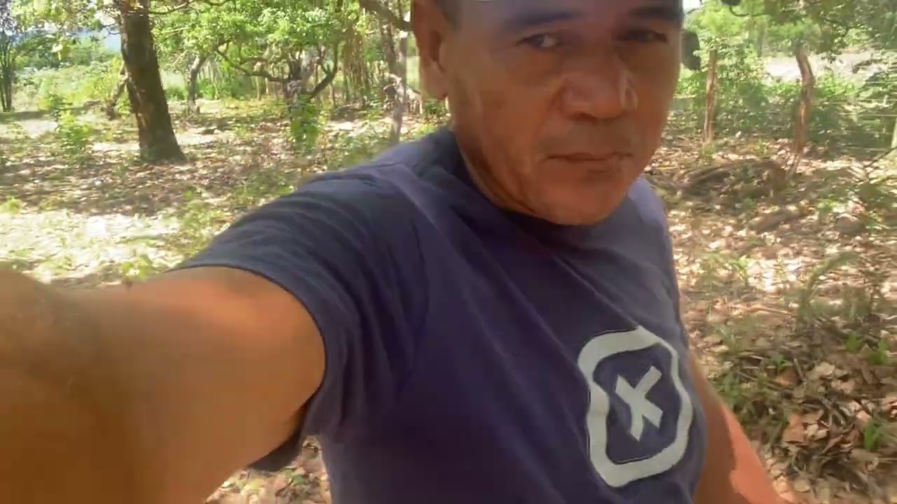 Dia  no sítio 