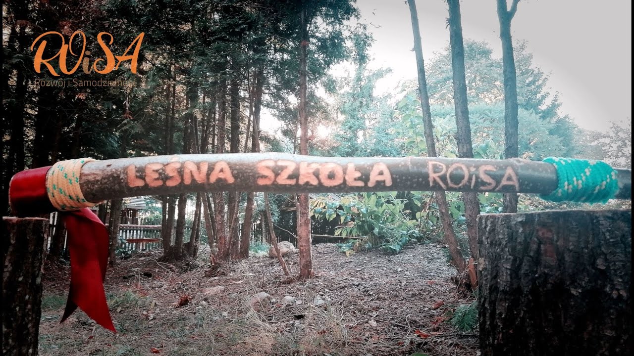 Leśna Szkoła Podstawowa ROiSA