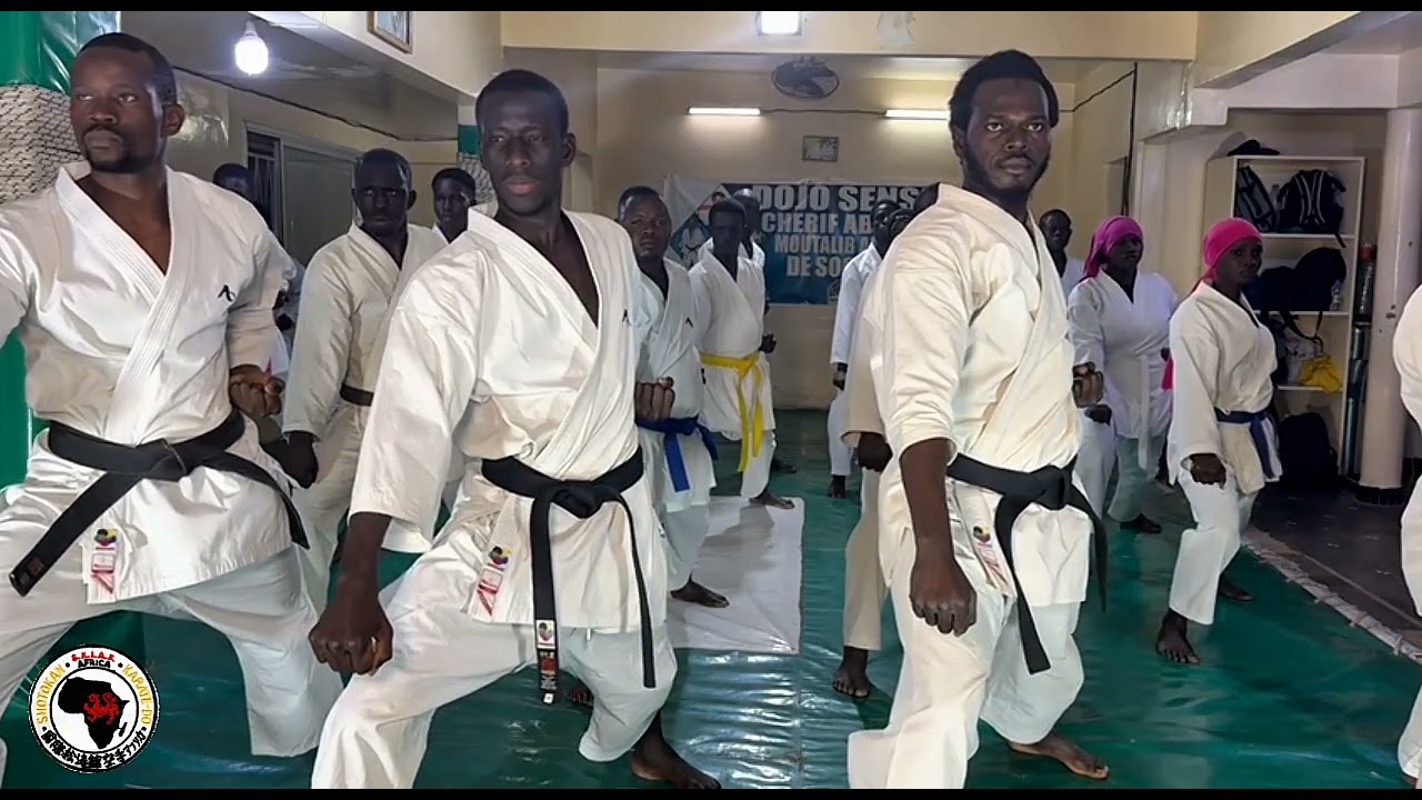 Gedan baraï 3 temps #artsmatiaux #karate #shotokan #skiaf_akenkai #gedanbarai
