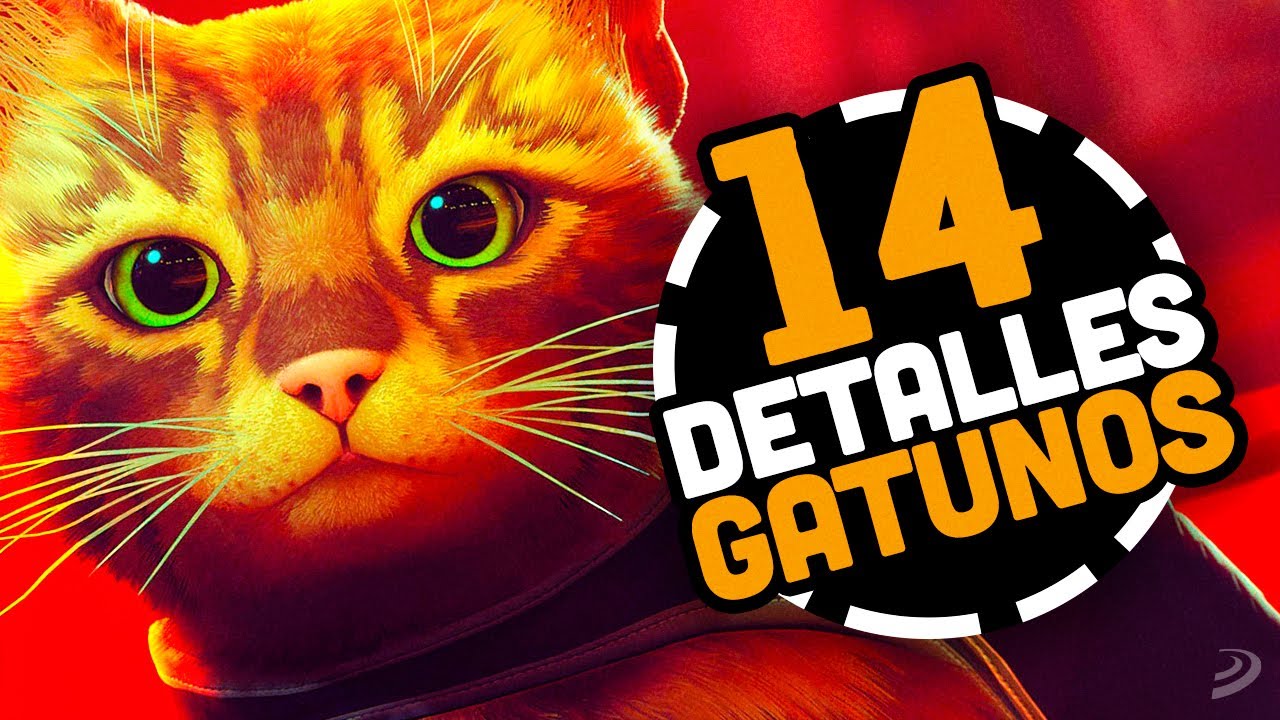 14 DETALLES REALISTAS del GATO de STRAY: El JUEGO de MODA