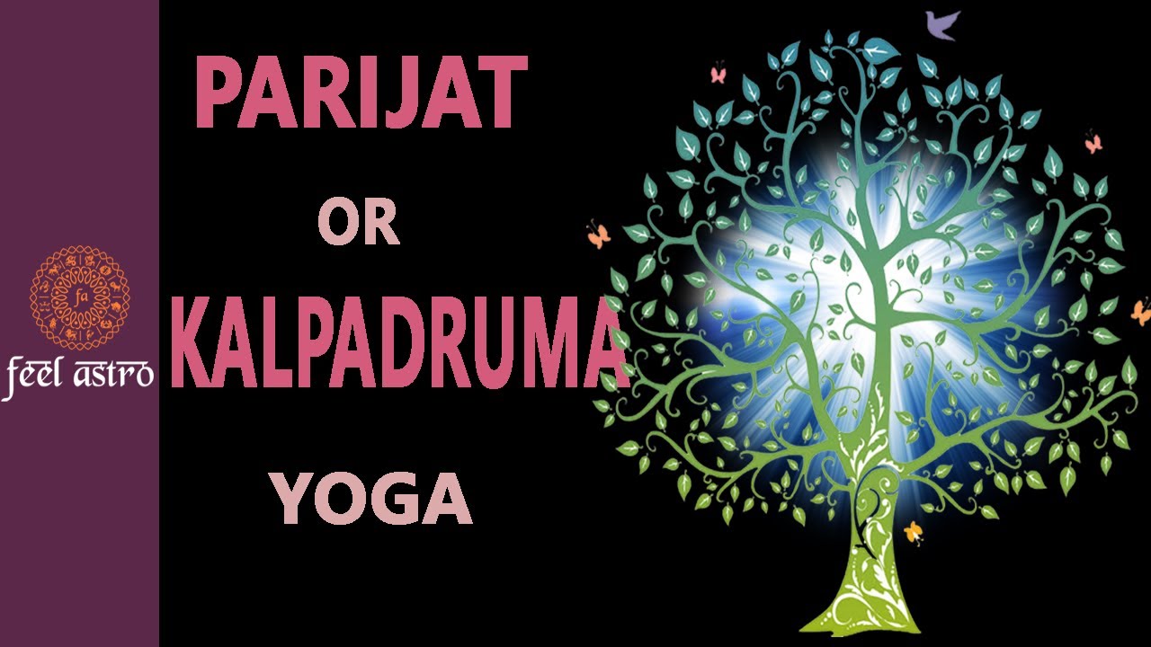 Parijat or Kalpadruma Yoga