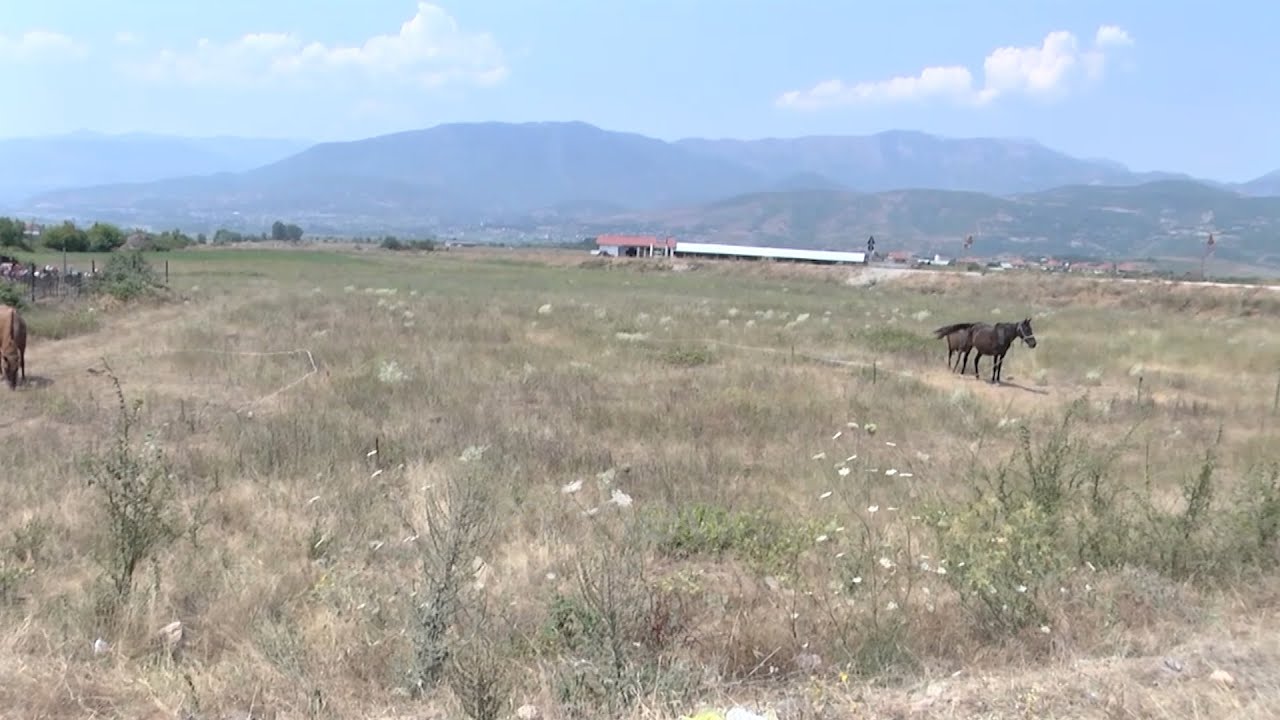 Dikur si Myzeqeja/ Fusha e Maqellarës në Dibër, djerrë. Askush nuk punon më tokën