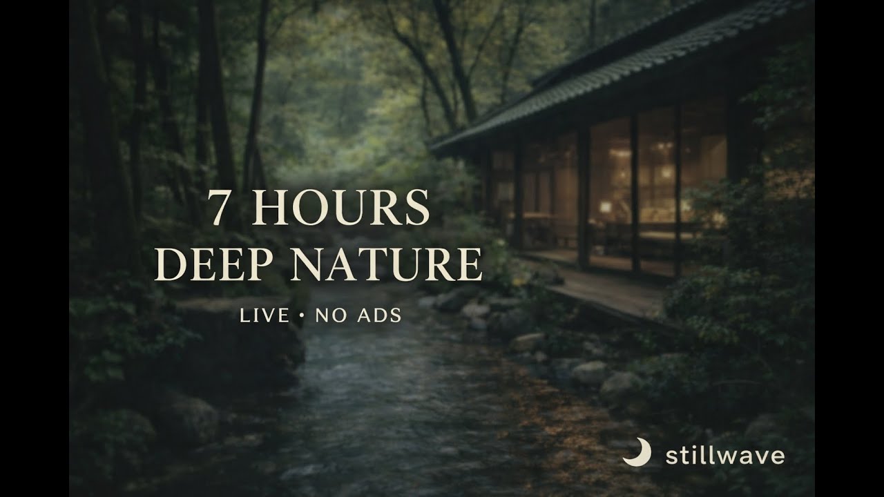 Calm Nature Live 🌿 | Peaceful Stream for Sleep, Relaxation & Deep Rest