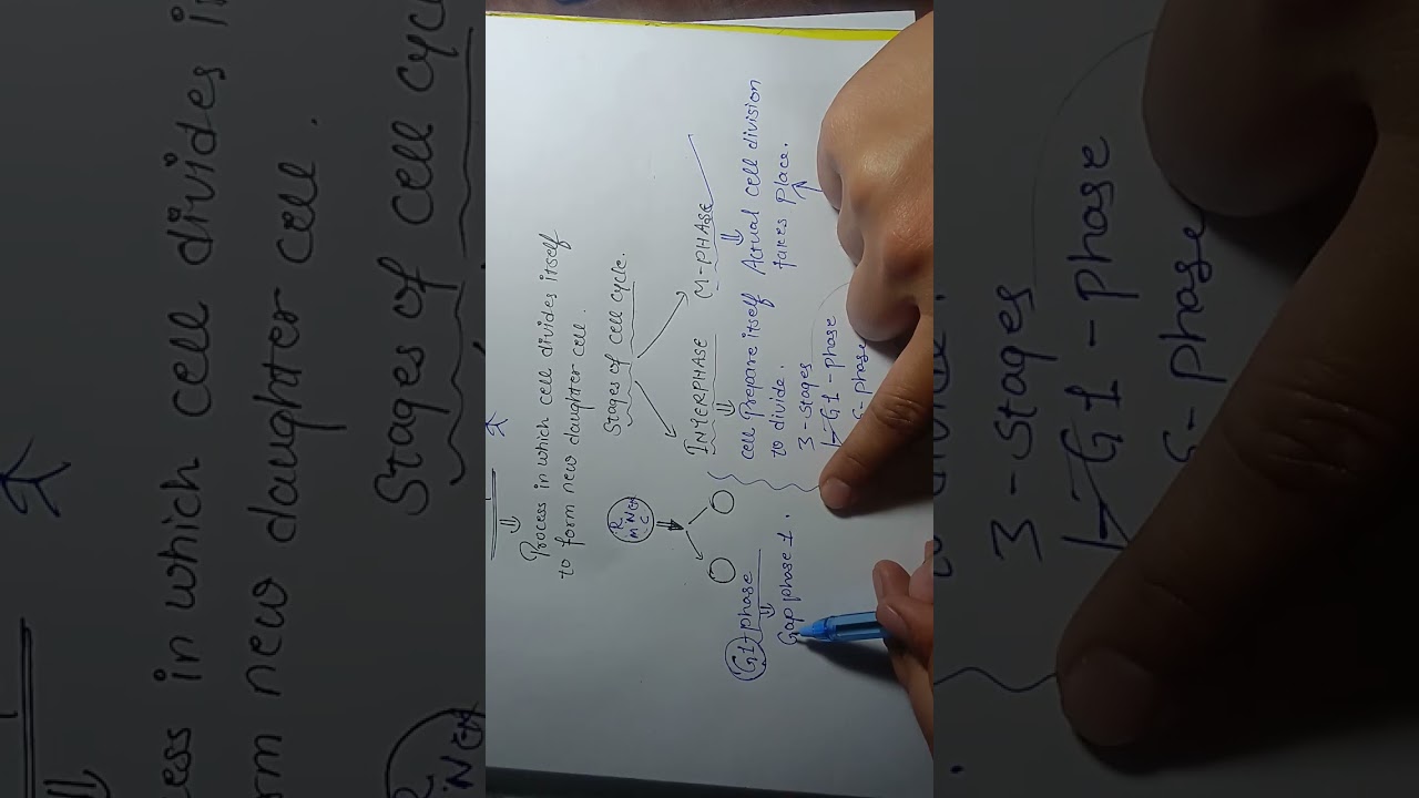 Cell cycle and cell division(INTERPHASE) Lecture:01