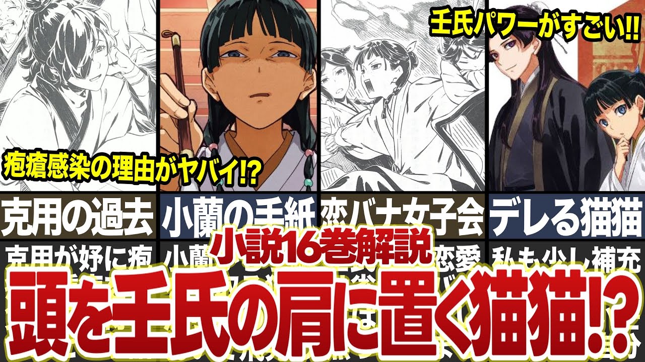 【薬屋のひとりごと】最新小説16巻「流行病編②」解説！猫猫が壬氏の肩の上に頭を置きデレる！？ #薬屋のひとりごと #ゆっくり解説 #猫猫 #壬氏