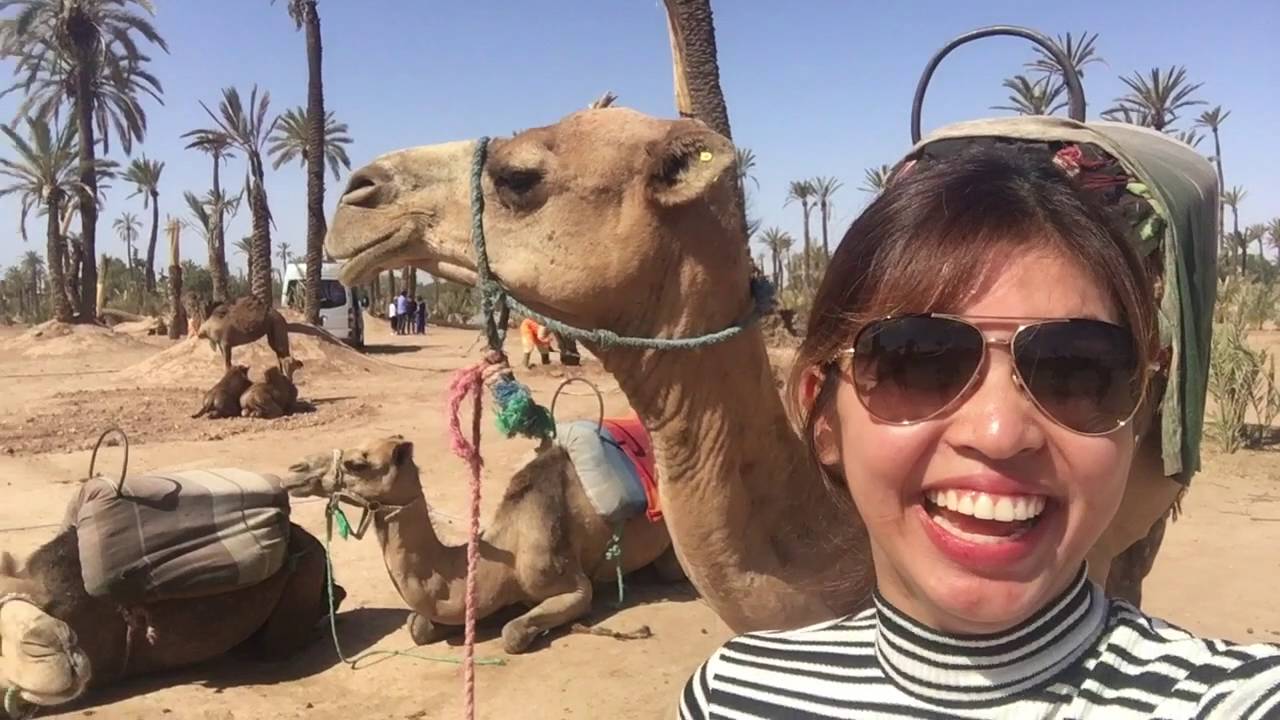 Making MEGA in Morocco