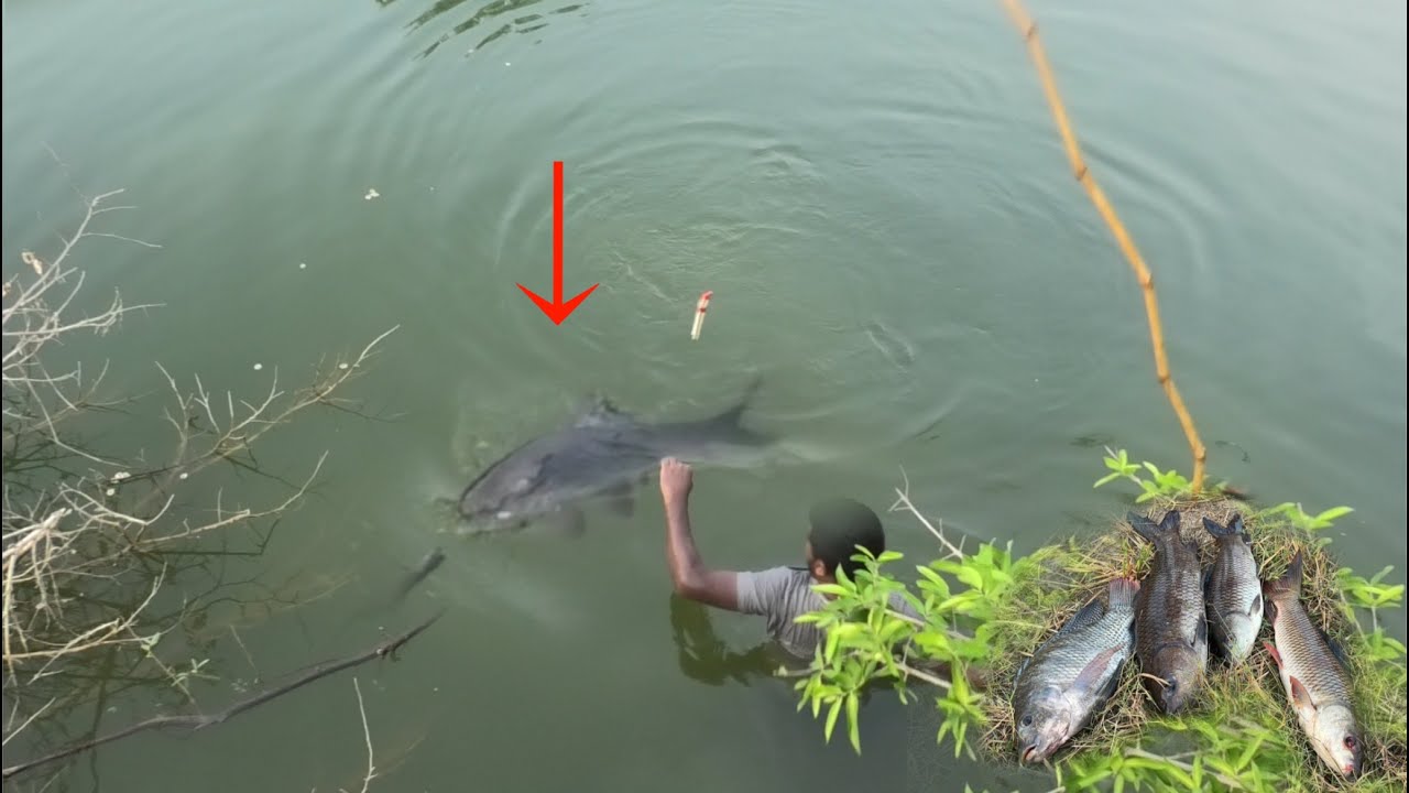 Unbelievable Big SIze Rohu Fishing || Rohu fish catching Best fishing spot mama @ganeshvlogger143