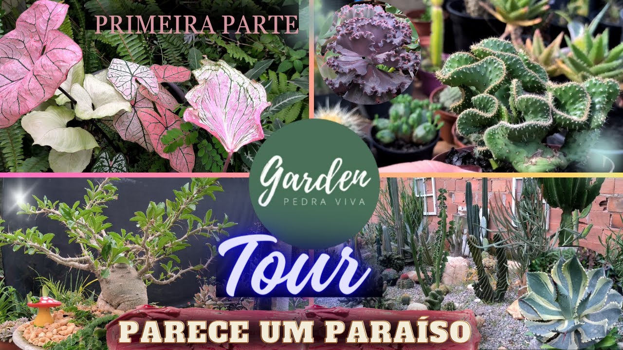 muitas raridades no Garden pedra viva- vocês irão gostar - primeira parte do vídeo