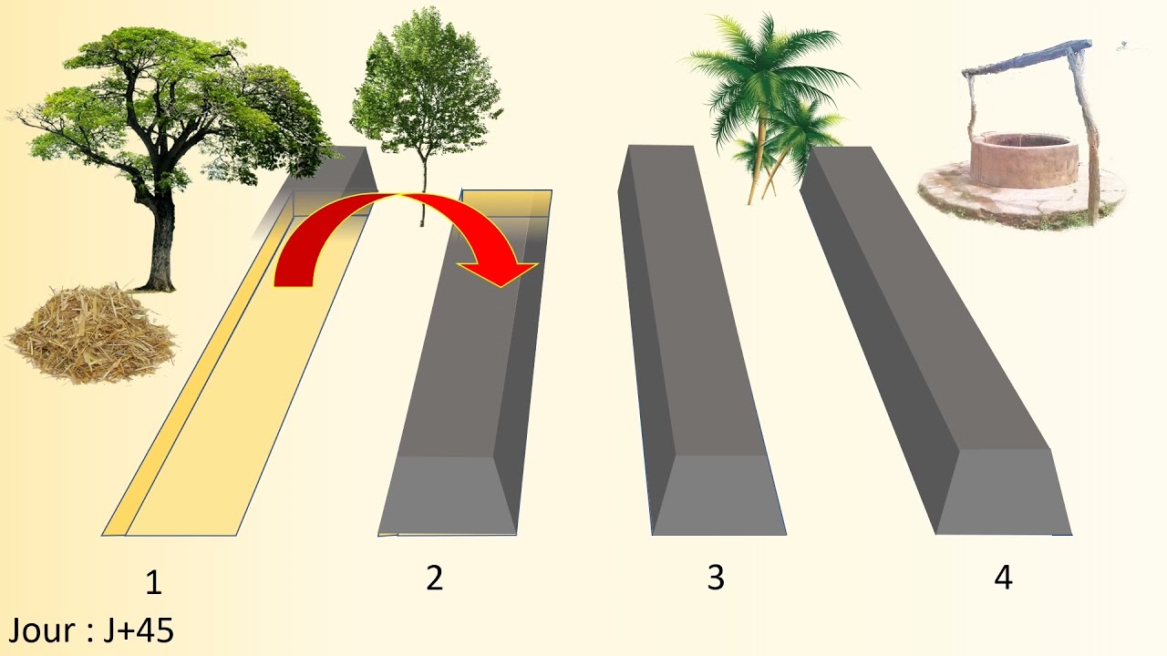 Module 2 Les différents procédés de compostage compostage