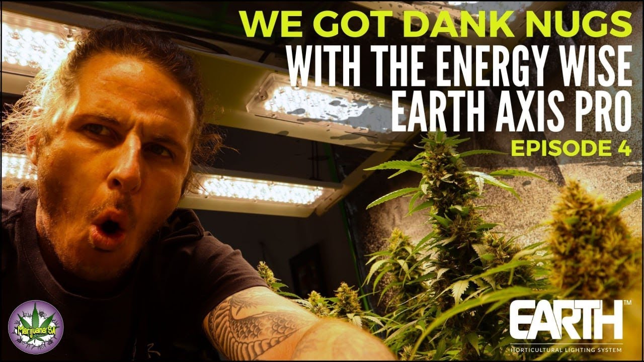 Growing Cannabis with Organic Nutrients & LED Lights: A Guide to My Nutrient Ratios