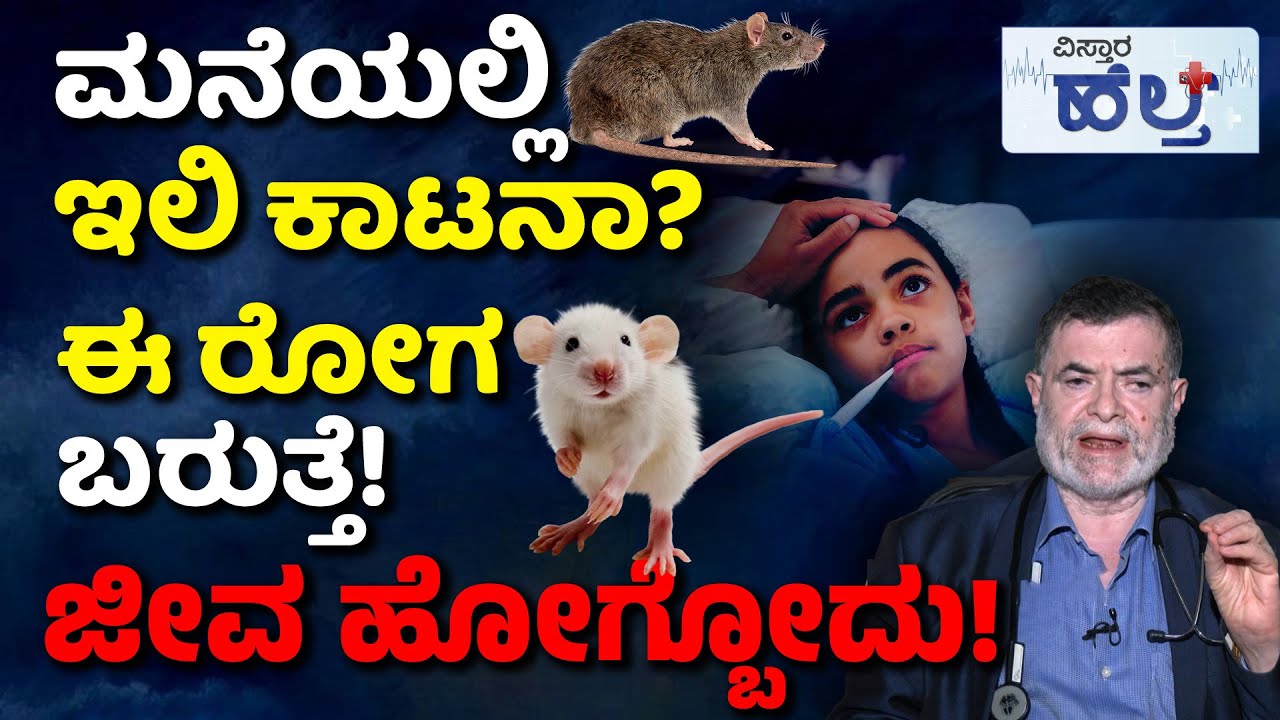 Rat Fever Symptoms And Treatment | ಇಲಿ ಜ್ವರ ಏಕೆ ಬರುತ್ತೆ? ಅಪಾಯವೇನು? ಪರಿಹಾರವೇನು?  | Vistara Health