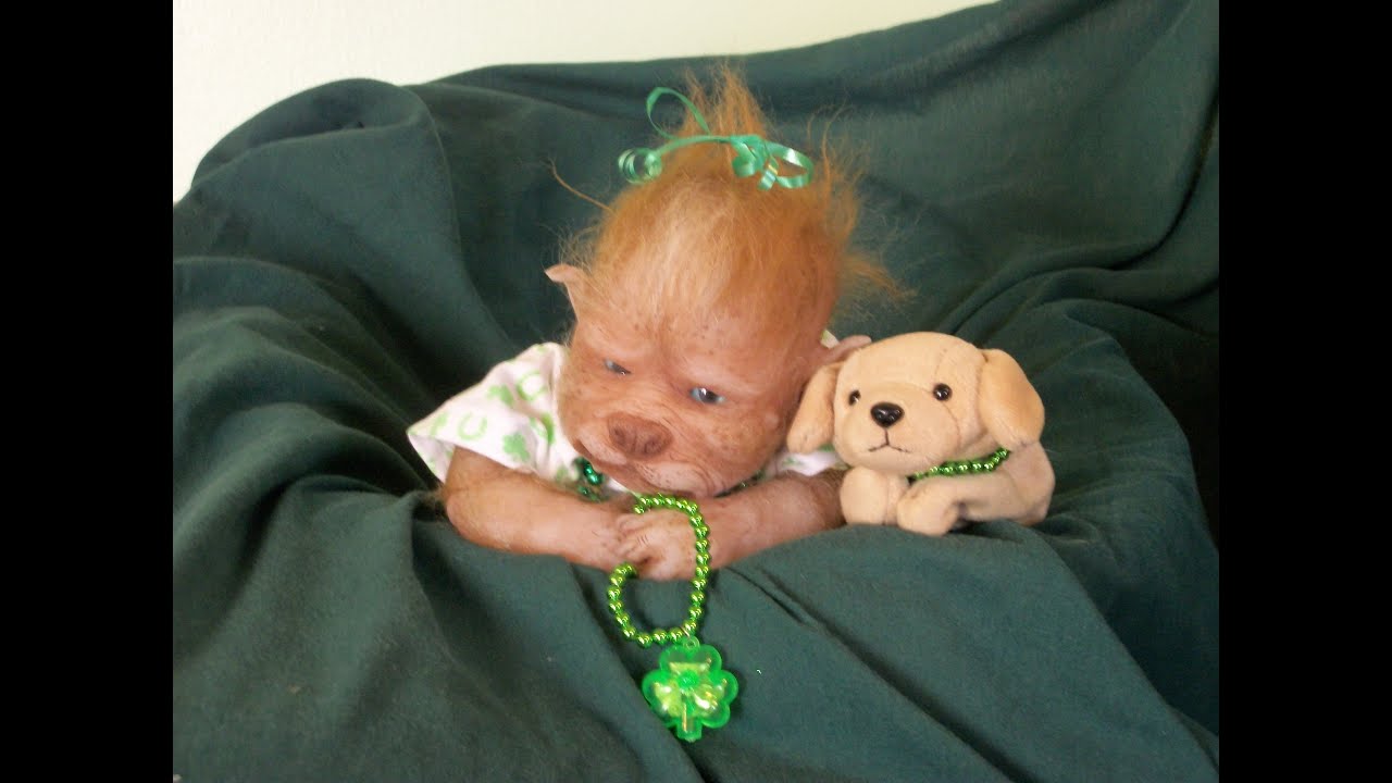Werepup Laila Presents: When Irish Eyes are Smiling
