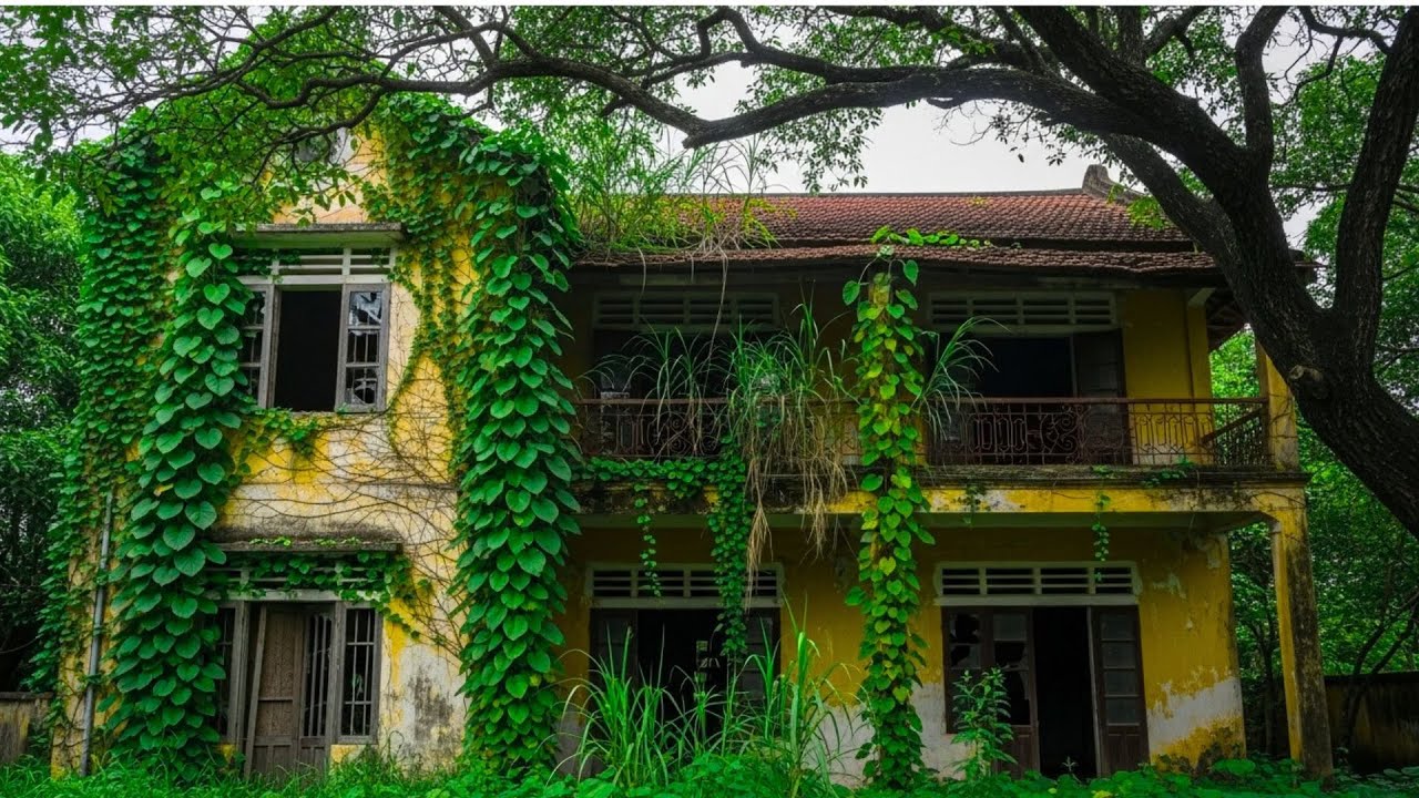 Shocking! A 90-year-old woman asked us to save her 100-year-old house - The truth after the cleanup.
