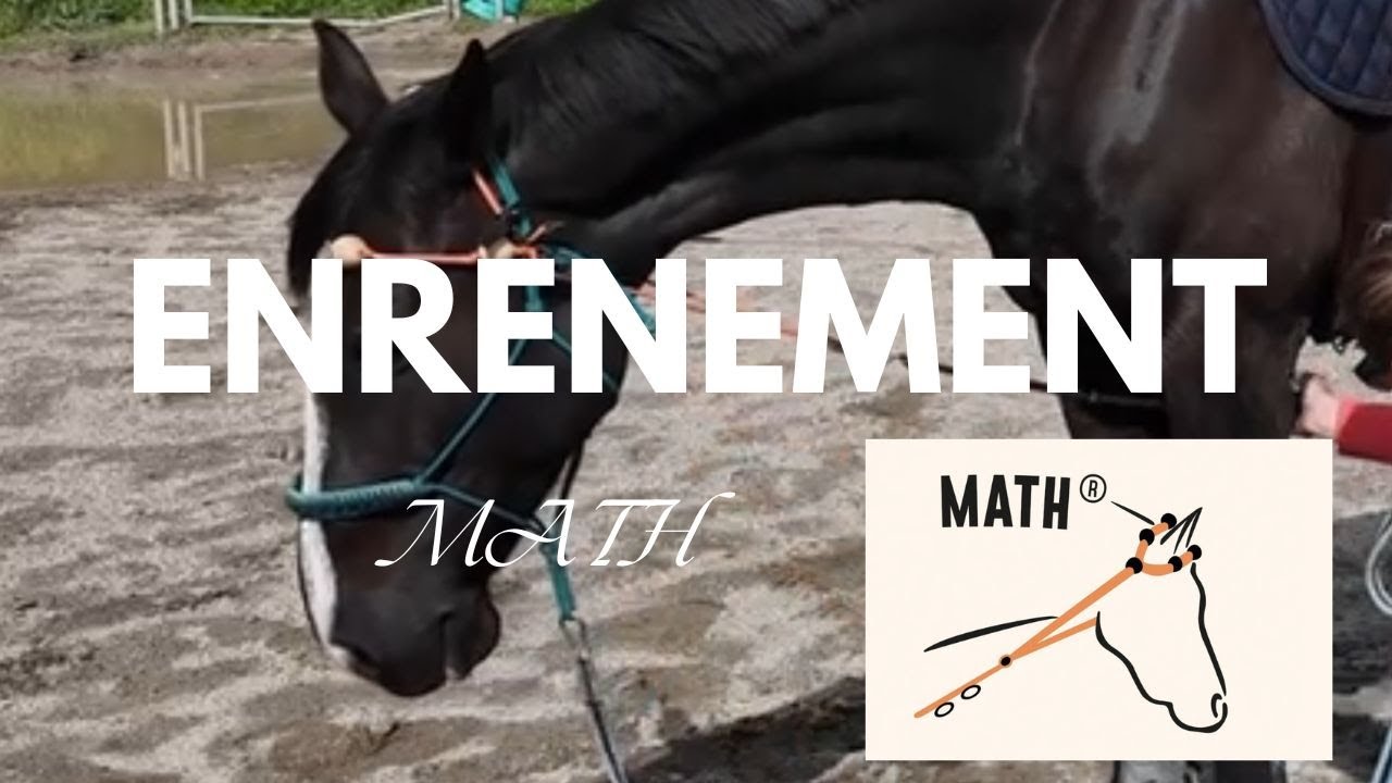 L’enrenement math - Instant Cheval 
