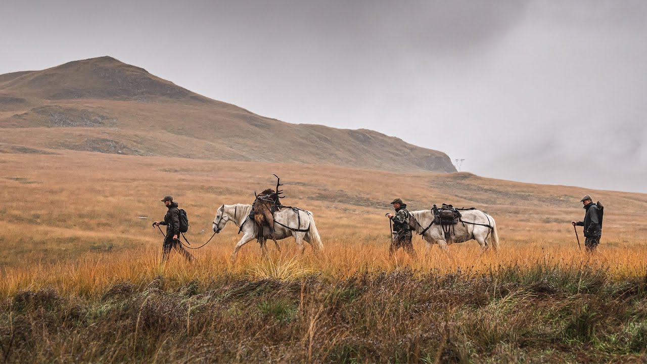 Call Of The Wild - Red Deer Stalking in Scotland