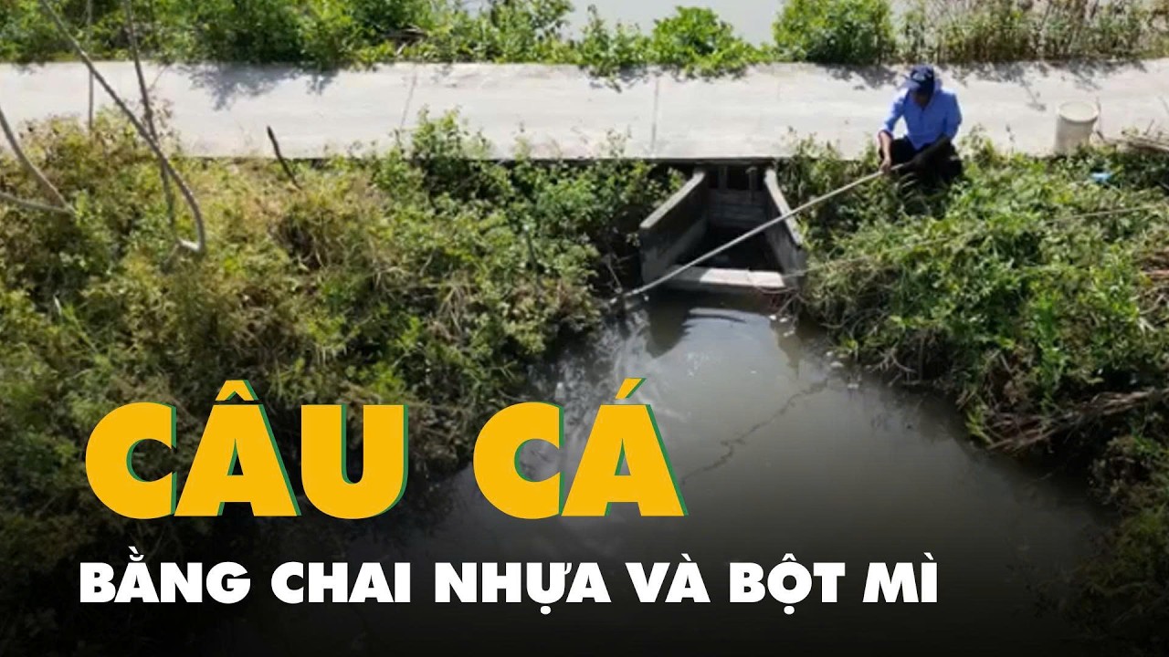 Video câu cá đối bằng chai nhựa và bột mì
