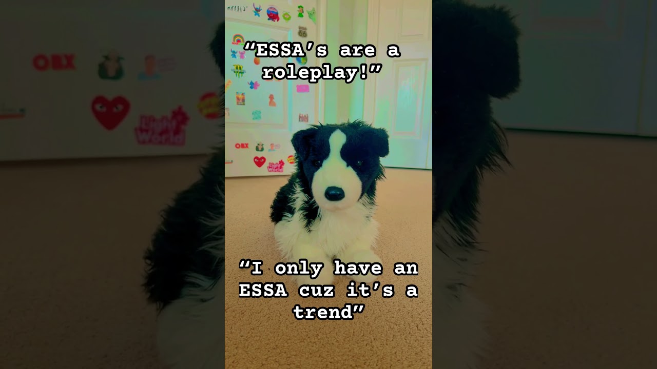 ESSA&rsquo;s are not a rp || #essa #dogtraining