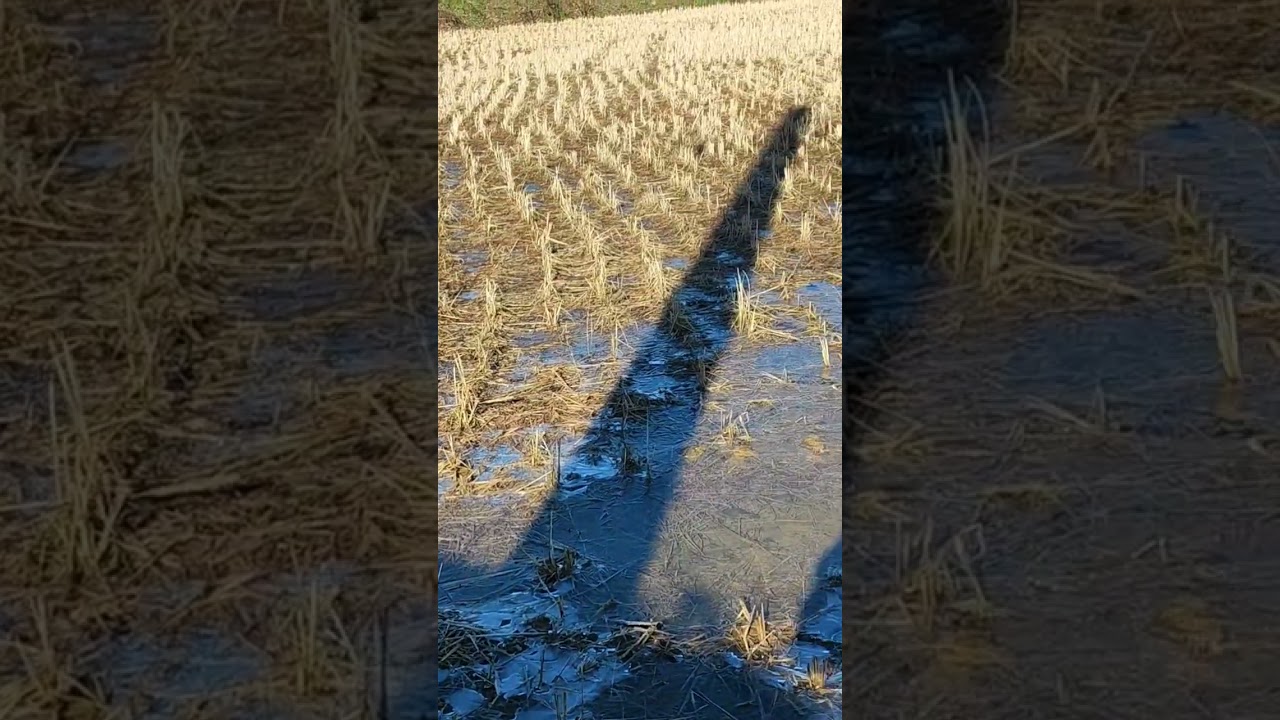 Rural Life in the Heart of Winter